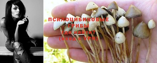 метадон Белокуриха