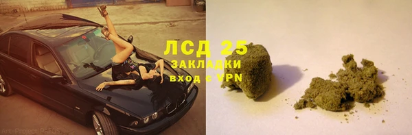 прущие грибы Приозерск