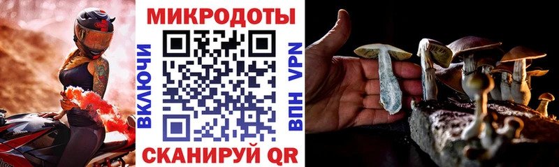 продажа наркотиков  Красноуфимск  Галлюциногенные грибы MAGIC MUSHROOMS 